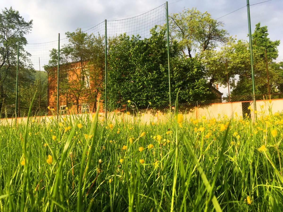 AMBROsador Hostal Ambrolauri Exterior foto